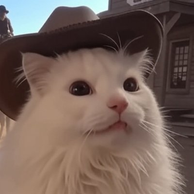 MeowInfinitum's profile picture. 