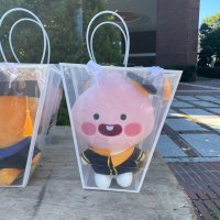 Alina Wang (@alinawangh) 's Twitter Profile