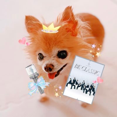 JO1 ✨11人✨の幸せを願うだけの👵ばあやJAM ✿ㆍ微力ですが皆さんの後ろから推させていただきます🫙 🫷💕/無言フォロー失礼します