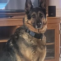 Shmitty (@shmitty57) 's Twitter Profile