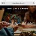 Big Cat’s Cards & Collectibles (@bigcatscardswi) Twitter profile photo Big Cat’s Cards & Collectibles (@bigcatscardswi) Twitter profile photo