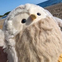 五十鈴エルフ (@isuzuelf_) Twitter profile photo