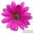 esma119154's profile image