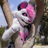 Garnie~ (@garnetyeen) 's Twitter Profile