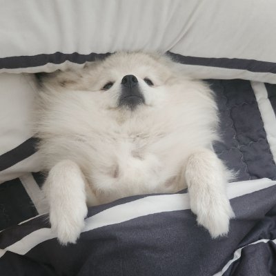 mingdae1's profile picture. 안녕하세요 반갑습니다 리듬게임합니다