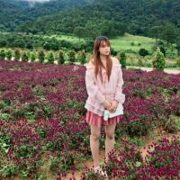 KhanhLinh (@tomyteo25437) 's Twitter Profile