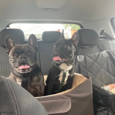 Mocoin2Mocoin's profile picture. Solami-Enthusiast - $ACE $MAX $PKIN 🚀🚀🚀