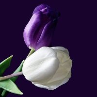 ربي رضاك والجنة🇸🇦 (@bahn12345) 's Twitter Profile