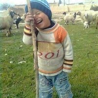 wambuiii (@wambuijoan2024) 's Twitter Profile
