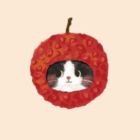 Anyonekab ꙳ ⋆ ⸝⸝🌷💖 (@anyonekab53204) 's Twitter Profile