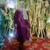 Roqaiya Bashri (Rumi) (@roqaiyabashri) Twitter profile photo Roqaiya Bashri (Rumi) (@roqaiyabashri) Twitter profile photo