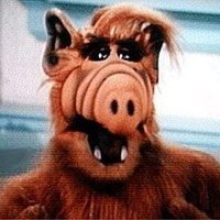 JlexusG's profile picture. Content creator, memes arts creator and lover, ambassador