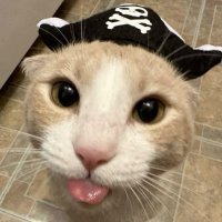 Rius, FCPA, FCTT (@ivonfcpa) 's Twitter Profile