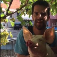 charafnbr (@charafnbr) 's Twitter Profile Photo