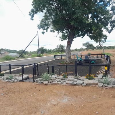 Go lema go bose, go baba go hlagola || Mopani wa ditonki. || Donkey association SG.