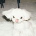 CatsweeT (@tcatswee56717) Twitter profile photo