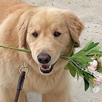 isis *さんのプロフィール画像
