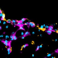 Leuschner Lab (@leuschnerlab) 's Twitter Profile Photo Leuschner Lab (@leuschnerlab) 's Twitter Profile Photo