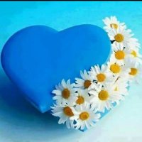 Papatya'm 🌼&💙🇹🇷 (@_papatya_m_) 's Twitter Profile Photo Papatya'm 🌼&💙🇹🇷 (@_papatya_m_) 's Twitter Profile Photo