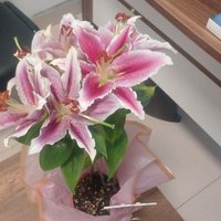 Canan (@canan7120631805) 's Twitter Profile Photo Canan (@canan7120631805) 's Twitter Profile Photo