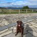 Conchi Lago (@conchilagoforo) Twitter profile photo Conchi Lago (@conchilagoforo) Twitter profile photo