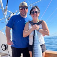 David Sheppard (@shepdshep) 's Twitter Profile