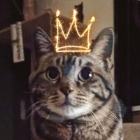 王様の耳は驢馬の耳 (@kings_donkeyear) 's Twitter Profile Photo 王様の耳は驢馬の耳 (@kings_donkeyear) 's Twitter Profile Photo