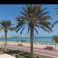 Ali saeed (@alisaeed7788061) 's Twitter Profile