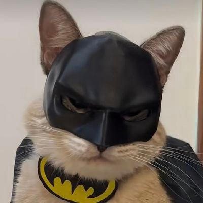 EZAXES's profile picture. 