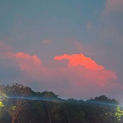 jangamjd's profile picture. Farmer