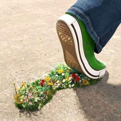 AnNhin867106's profile picture. Thích tự do