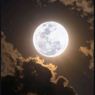 AlhelohYS's profile picture. 