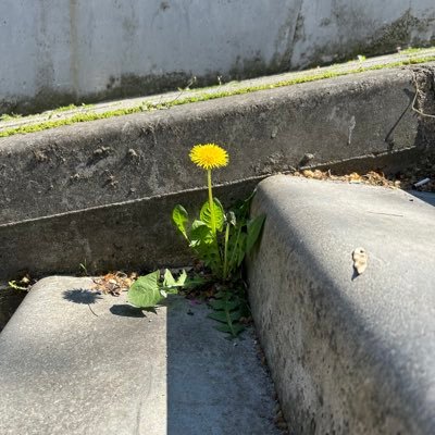 NuranBolukbas's profile picture. 