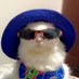 skier (@skierr_) Twitter profile photo skier (@skierr_) Twitter profile photo