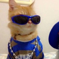 K41 (@k41ow) 's Twitter Profile