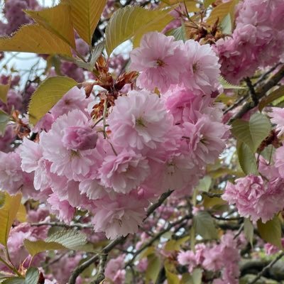 ♡ caitさんのプロフィール画像