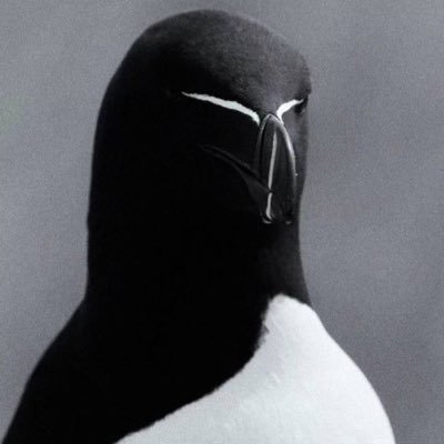 insanetek's profile picture. .