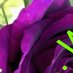 سالم (@slm918994026509) Twitter profile photo سالم (@slm918994026509) Twitter profile photo