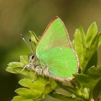 Matt Stead (@mattfineday) 's Twitter Profile