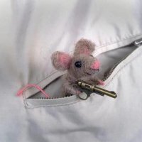 Ratatus (@ratatuss) 's Twitter Profile