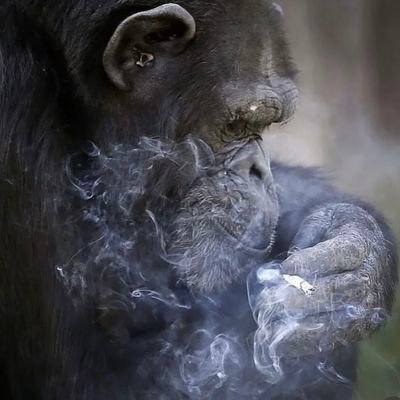 IvanBarrk's profile picture. 