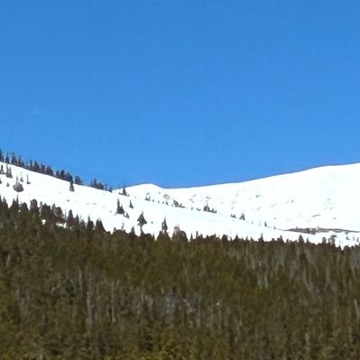 jorgehgira29109's profile picture. 