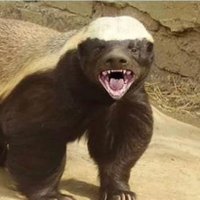 zevkzaneci (@zevkzaneci88324) 's Twitter Profile Photo zevkzaneci (@zevkzaneci88324) 's Twitter Profile Photo