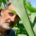Texasagronomo (@texasagrarian) Twitter profile photo Texasagronomo (@texasagrarian) Twitter profile photo