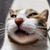 Juan (@juanelgatinho) Twitter profile photo Juan (@juanelgatinho) Twitter profile photo