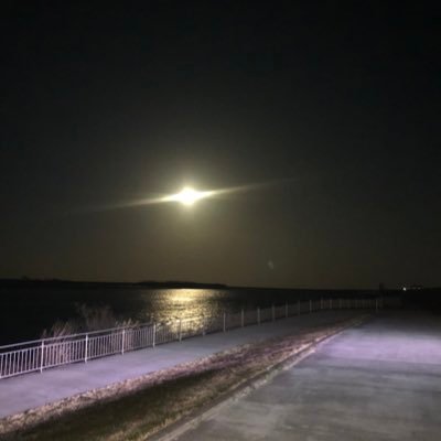 sho119110's profile picture. 🚹   ほぼ閲覧だと思います、 よろしくお願いします😁 無言フォローしてしまうのですみません🙇