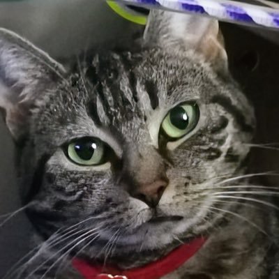 AuroreMart43792's profile picture. 