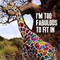 Inger B 🍰☕️🍷🛋 (@ibjerc) 's Twitter Profile Photo Inger B 🍰☕️🍷🛋 (@ibjerc) 's Twitter Profile Photo