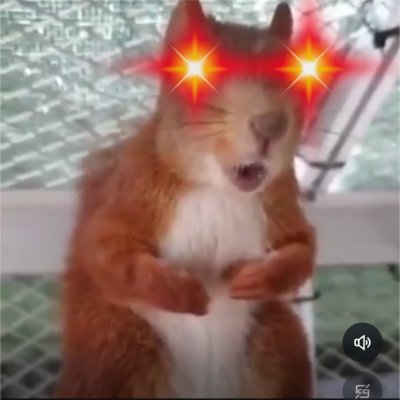 BarnabusCarmud1's profile picture. Divide and Conker