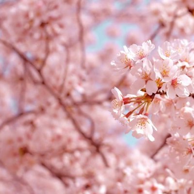 𝐌𝐨𝐮𝐫𝐭𝐞_𝐙さんのプロフィール画像